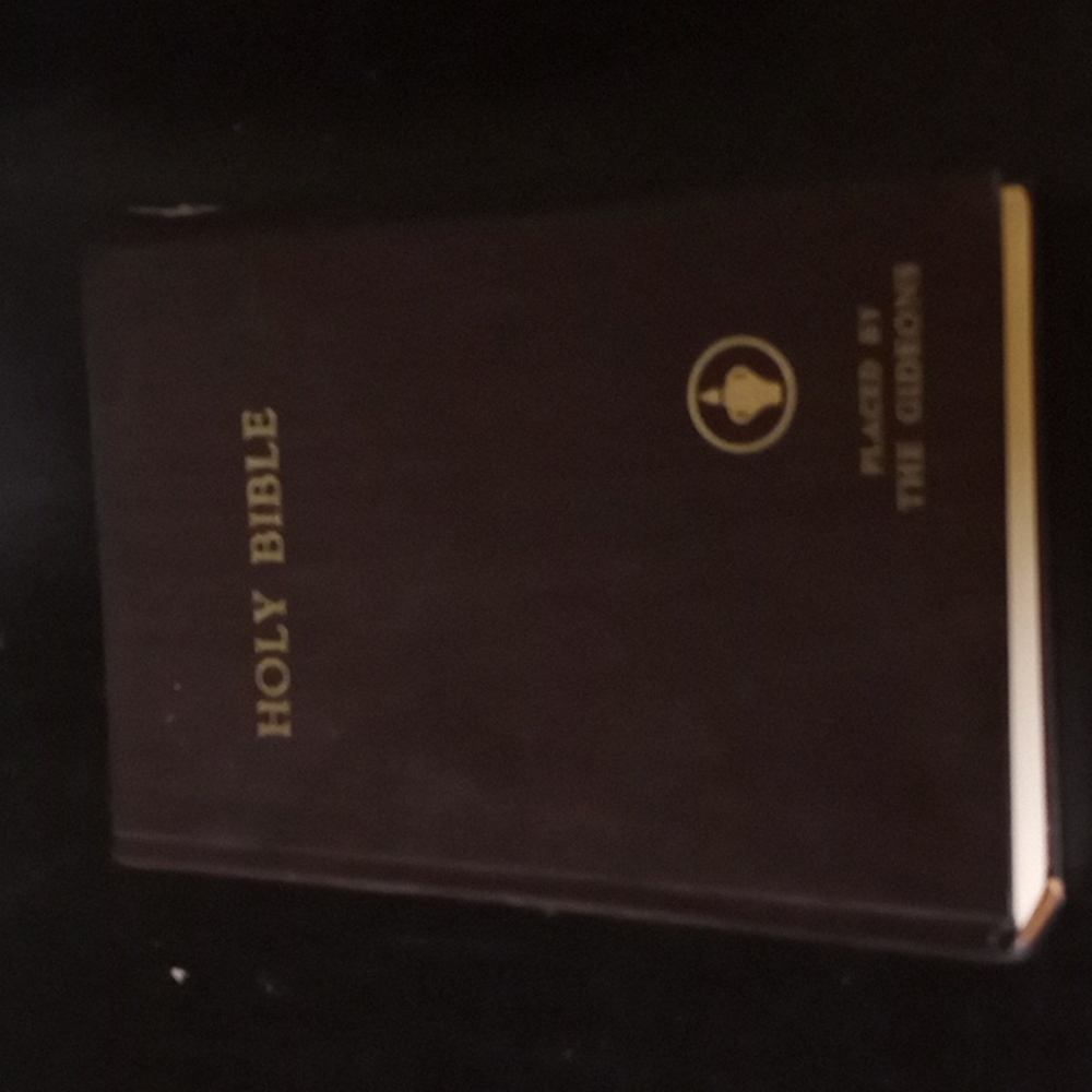 😸| Hardcover | Holy Bible